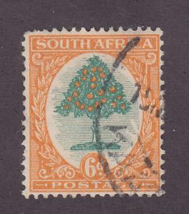 South Africa 25a Orange Tree 1926