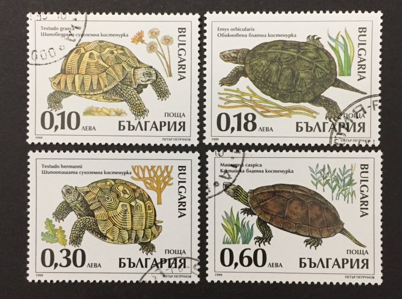 Bulgaria 1999 #4093-6, Turtle's, Used/CTO.