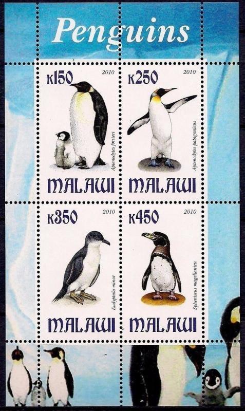 Malawi 2010 M/S Bird Penguins Animal Fauna Wildlife Antarctic Nature Stamps MNH