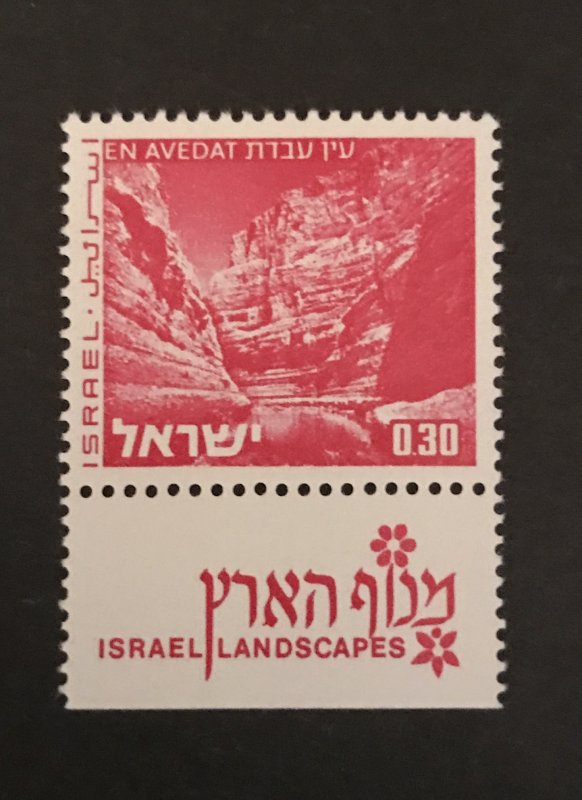 Israel 1972 #466 Tab, MNH