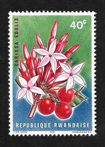 Rwanda 1966 - MNH - Scott #154