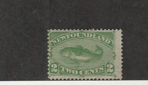 Newfoundland, Postage Stamp, #46 Mint Hinged, 1880 Fish