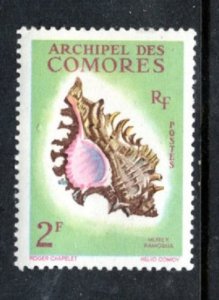 COMOROS ISLANDS 50 MNH VF Sea shell