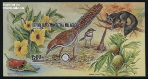 Madagascar 1988, Rotary, bird s/s, imperforated, MNH