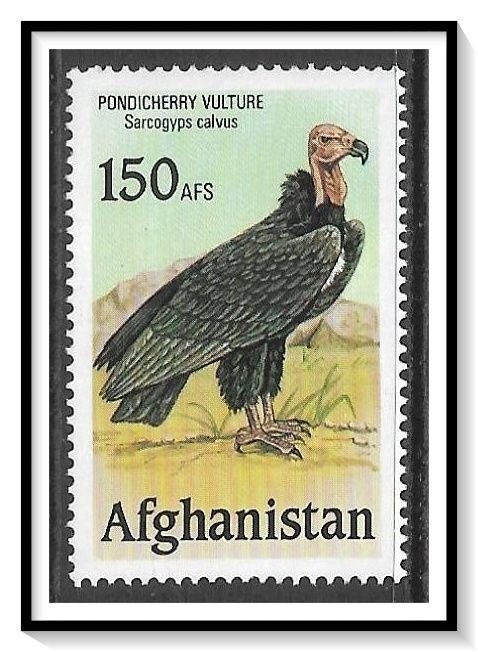 Afghanistan Birds Of Prey Pondicherry Vulture NG