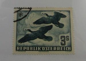 1953 Austria SC #C57 Rooks Birds  Airmail used stamp