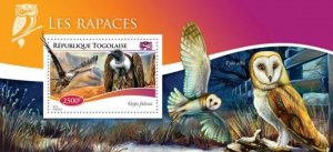 Togo - 2014 Birds of Prey -  Stamp Souvenir Sheet - 20H-1076