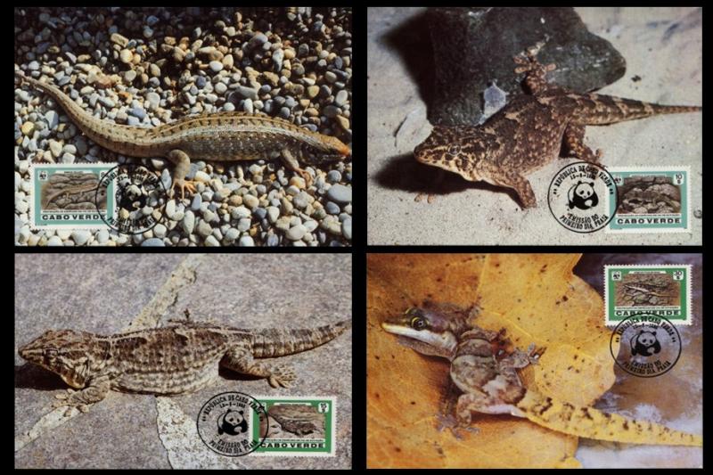 Cape Verde WWF Desert Island Lizards 4 official Maxicards