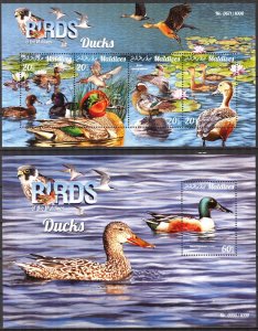 Maldive Islands 2015 Birds Ducks Sheet + S/S MNH