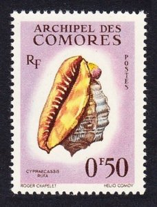 Comoro Is. Sea Shell 'Cypraecassis rufa' 50c 1962 MNH SC#48 SG#23 MI#42