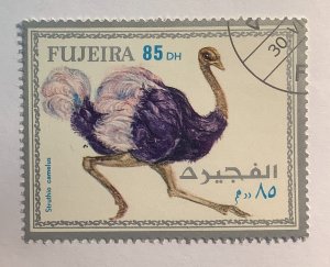 Fujeira 1972 MI  1176A CTO - 85d,   Exotic Bird,  Struthio camelus