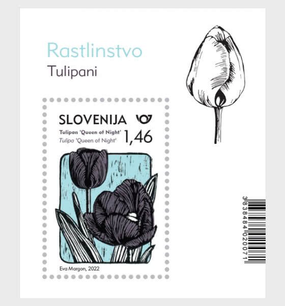 2022 Slovenia -  Queen of the Night Tulip SS (Scott 1486) MNH