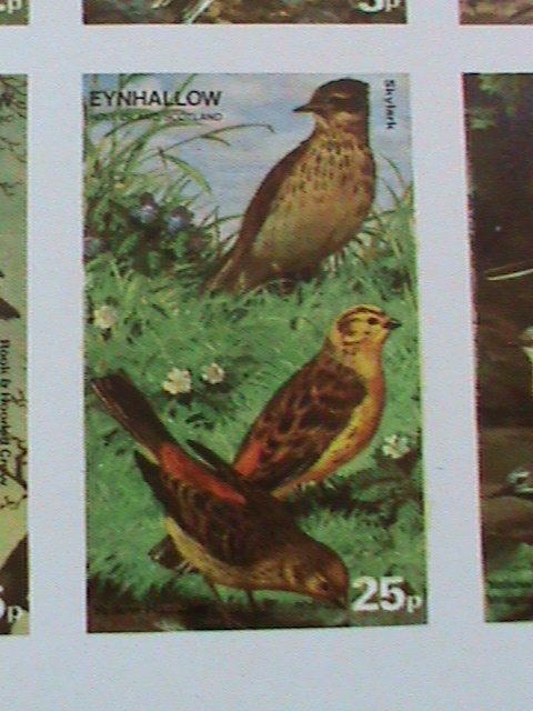 EYNHALLOW SCOTLAND STAMP -RARE BIRDS -IMPERF- MNH - MINI SHEET  NO GUM AS ISSUED