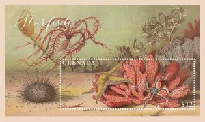 Grenada 2017 - Starfish - Marine Life - Souvenir Stamp Sheet - Scott #4247 - MNH