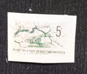 C) 1080. 1966. UNITED STATES. CHERRY TREE IN FRONT OF THE CAPITOL. ACK. USED.