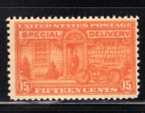 E16 MNH Special Delivery