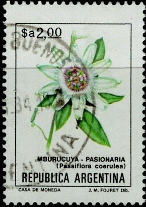 Argentina; 1983: Sc. # 1436: Used Single Stamp