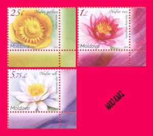 MOLDOVA 2019 Nature Flora Plants Flowers Water Lily Nenuphar Pods 3v Sc1033-1035