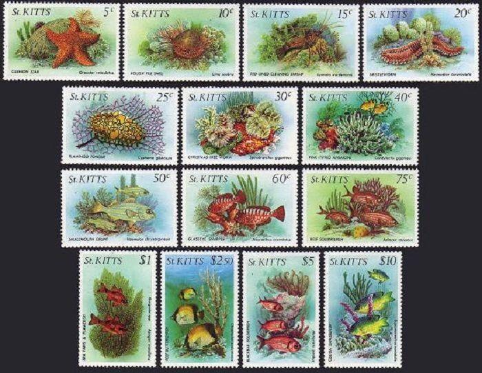 St Kitts 139-152 MNH Marine life 1984 Cushion star Shells Shrimps Worms. x12005