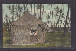 HAWAII, 1909 ppc. Native Grass Hut, 2c. Honolulu to Calgary, Canada.