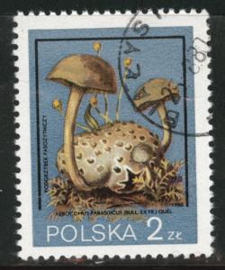 Poland Scott 2397 Used CTO favor canceled stamp 1980