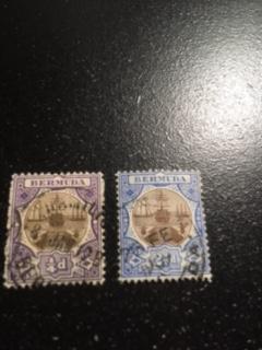 Bermuda sc 31,37 u