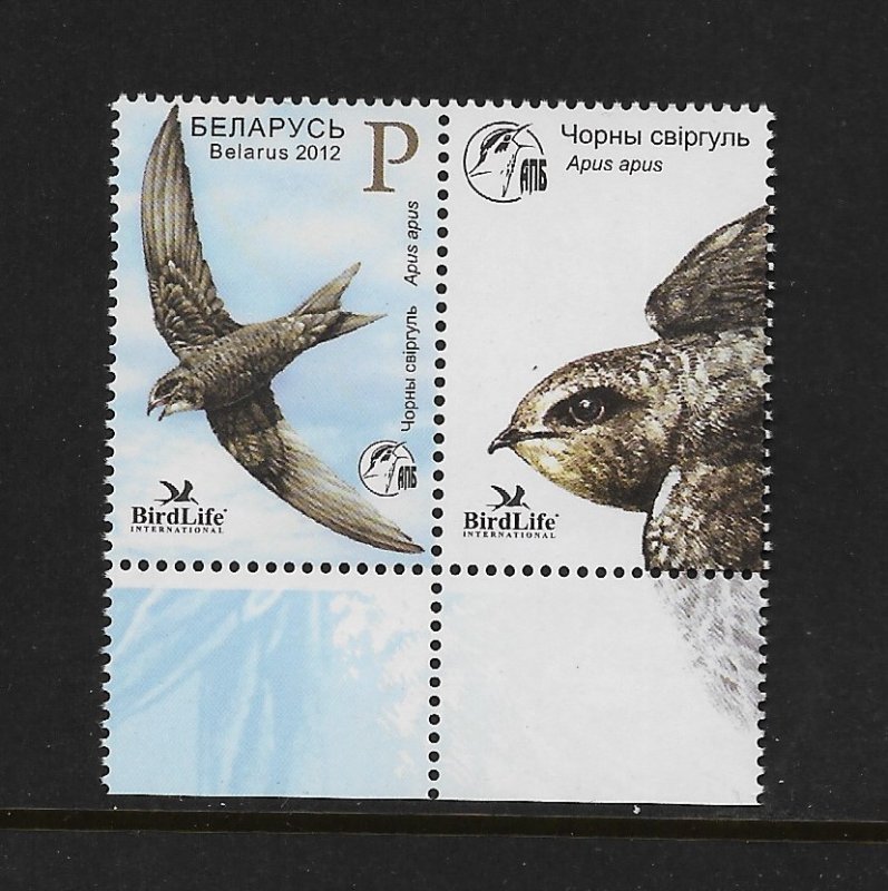 BIRDS - BELARUS #821 (WITH TAB)  COMMON SWIFT  MNH