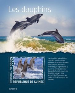 Guinea 2019 MNH Marine Animals Stamps Dolphins Common Bottlenose Dolphin 1v S/S