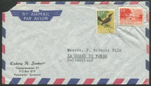 Surinam 1966 Thrush & 1965 Poelepantje Bridge stamps on cover (502)