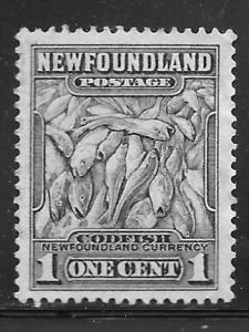 Newfoundland 184: 1c Cod, used, F-VF