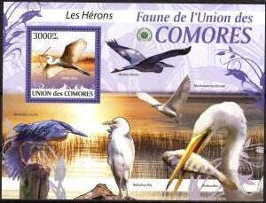 Comoro Islands 2009 Birds (3) Herons S/S MNH