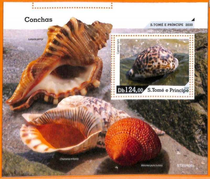 A6758 - SAO TOME & PRINCE, error, 2020, MISSED SOUVENIR SHEET: shells-