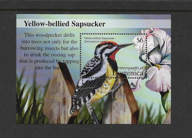 BIRDS - DOMINICA #2382 SAPSUCKER  MNH