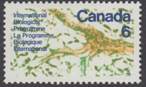 Canada - #507 International Biological Programme  - MNH