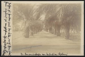 Germany 1913 USUMBURA East Africa DOA Cover Private RPPC Palm Street 109980