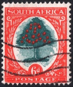 South Africa SC#61a 6d Orange Tree (1950) Used