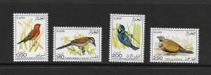 BIRDS - ALGERIA #563-6  MNH