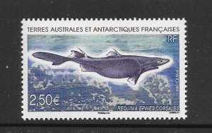 FRENCH SOUTHERN ANTARCTIC TERRITORY #415 FISH MNH