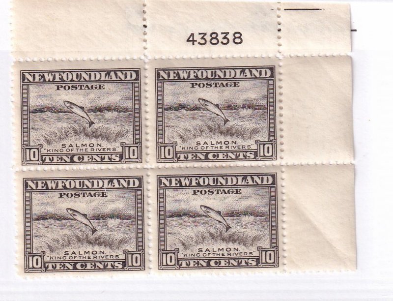 NEWFOUNDLAND PLATE BLOCKS OF 4 PLUS BLOCKS OF 4 CAT VALUE ????? 