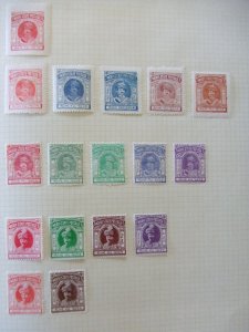 India collection Morvi