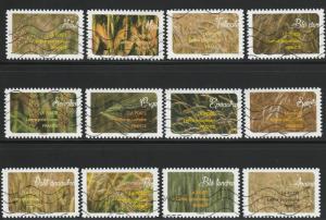 France, 2017 Used Set Of 12, Grains, Soaked From Kiloware