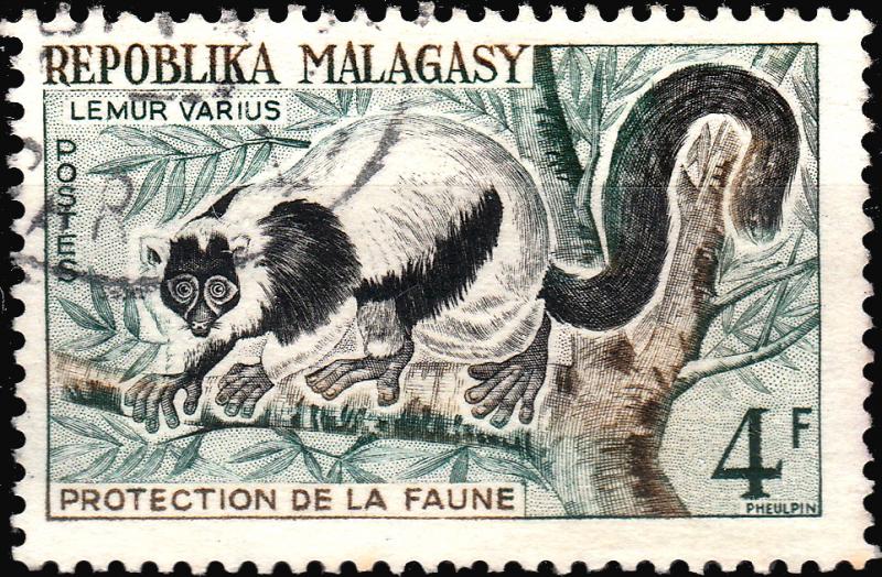 MADAGASCAR - 1961 - Mi.468 4fr00 Lemur (Lemur variegatus) - VFU