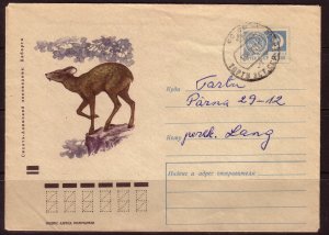 USSR, Animals, Siberian musk deer, used Cover Stationery / 1970