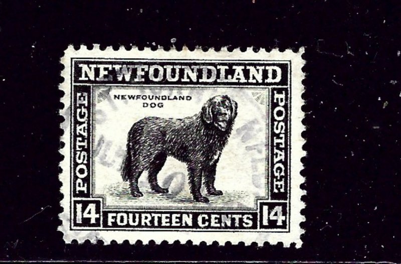 Newfoundland 261 Used 1941 Dog