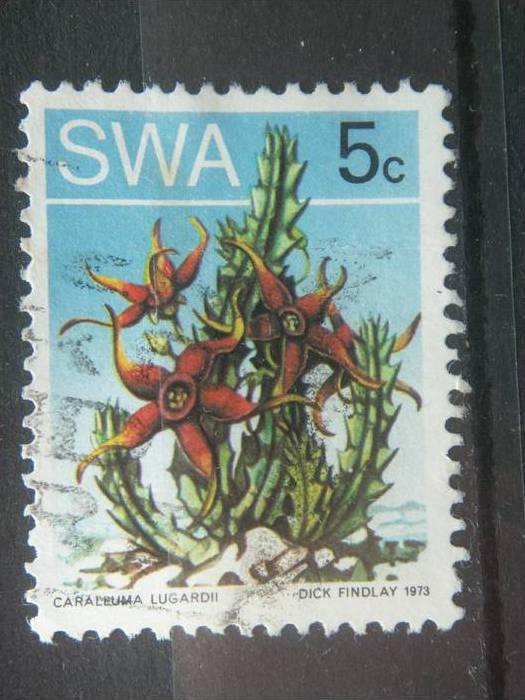 SOUTH WEST AFRICA, 1973, used 5c, Succulent Plants, Scott 347