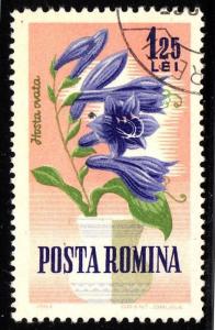 Romania - 1629 - used - CTO