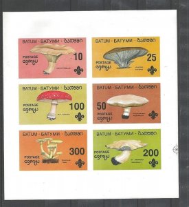 1994 Batum Scouts mushroom fungi m/s 6 Imperf