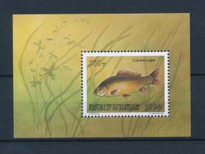 [36639] Kyrgyzstan 1994 Marine life Fish MNH Sheet