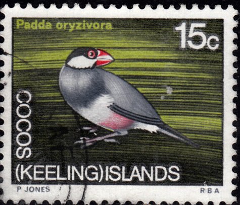 Cocos (Keeling) Islands #15 Used