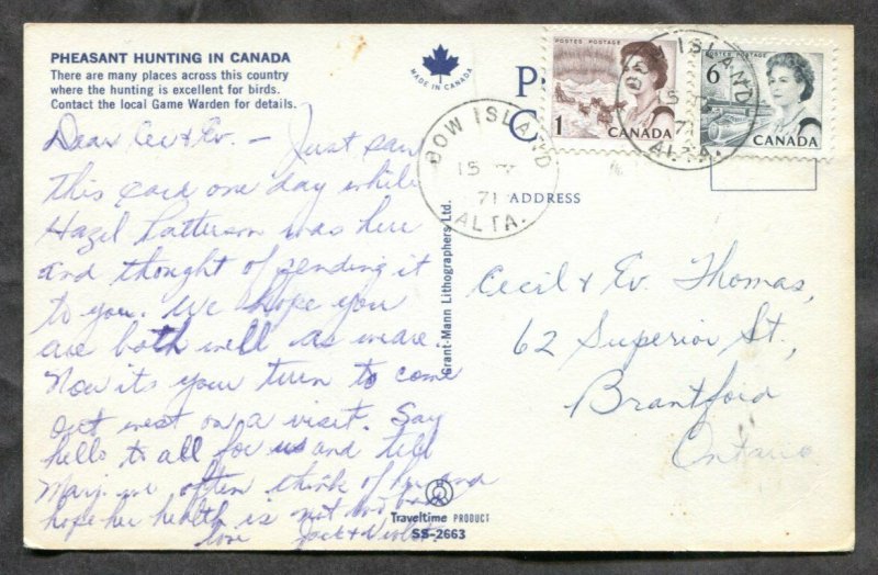 d318 - BOW ISLAND Alberta 1971 CDS on Centennial Issues. Bird Hunting Postcard